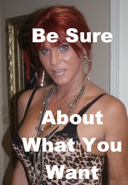 What Transsexual Admirers Want